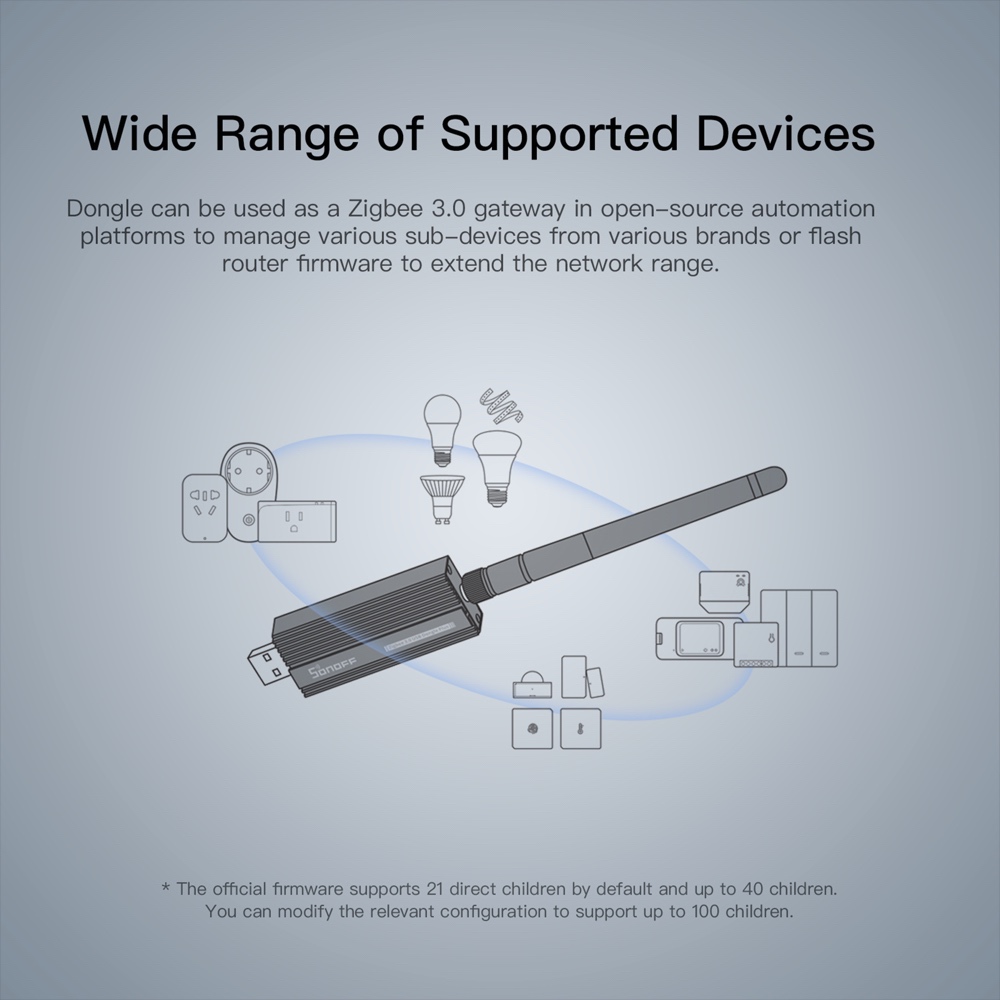 1/5 Chiếc SONOFF ZB Dongle-P Z - đánh giá và giá Zigbee Coordinator Stick