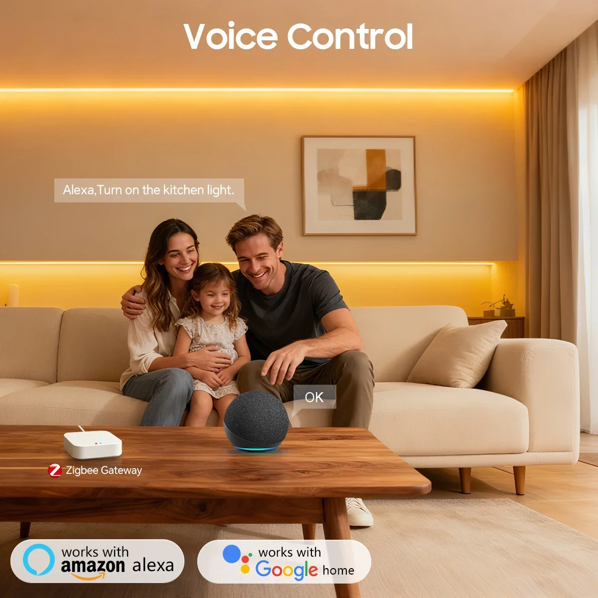 Zigbee 3.0 24V Neon LED Strip  - đánh giá và giá Zigbee Coordinator Stick