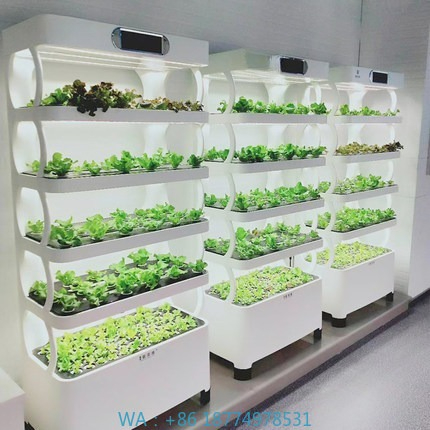 Hydroponic Automated Grow Syst - đánh giá và giá Diy Automation